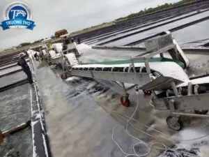 băng tải pvc lòng máng