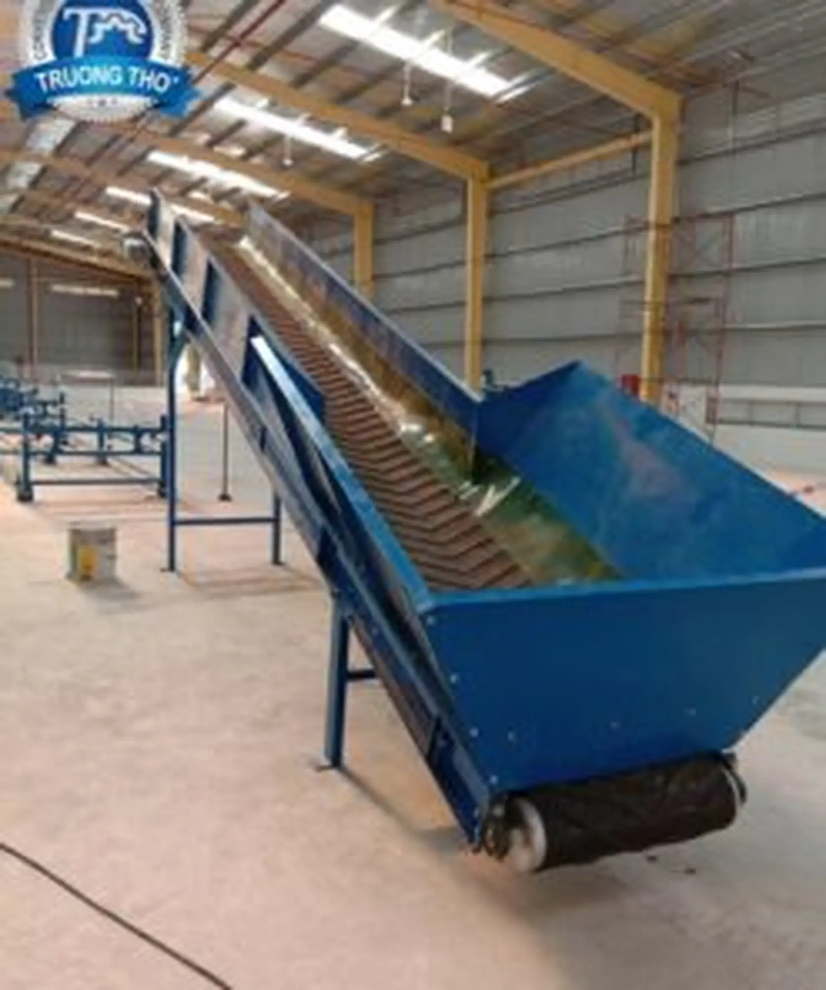 bang tai cao su long mang