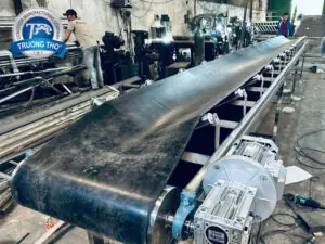 Băng chuyền cao su lòng máng - Ảnh 3