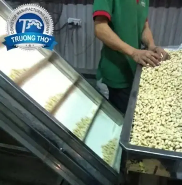 hệ thống băng tải hạt điều