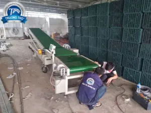 băng tải cân và tải lên xe - ảnh 2