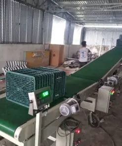 Băng tải cân và tải lên xe