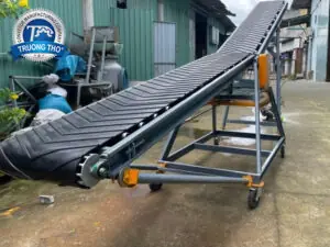 Băng tải cánh bướm nâng hạ - Ảnh 2