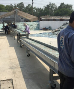 Băng tải cao su tải kính