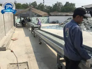 Băng tải cao su tải kính