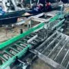 băng tải con lăn tự do