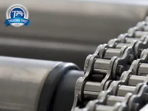 Băng tải con lăn inox xích