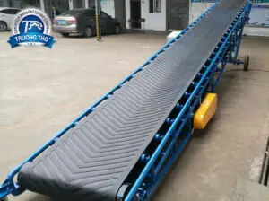 Băng tải nâng hạ 8m - Ảnh 3