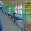 bang tai pallet