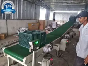 băng tải pvc cân và tải lên xe