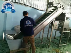 Băng tải PVC cấp liệu hạt điều