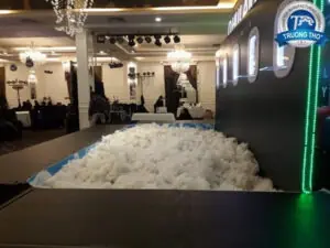 băng tải pvc sân bay - ảnh 5
