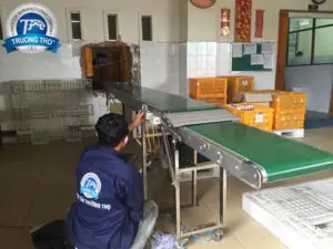 băng tải pvc tải khay trứng - ảnh 2