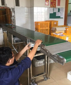 Băng tải PVC tải khay trứng