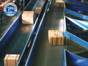 băng tải thùng carton - ảnh 2