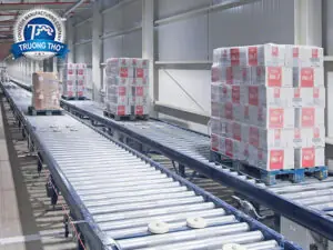 băng tải thùng carton - ảnh 3