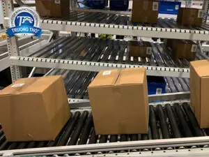 Băng tải thùng carton