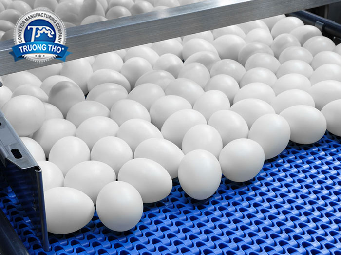 băng tải trứng