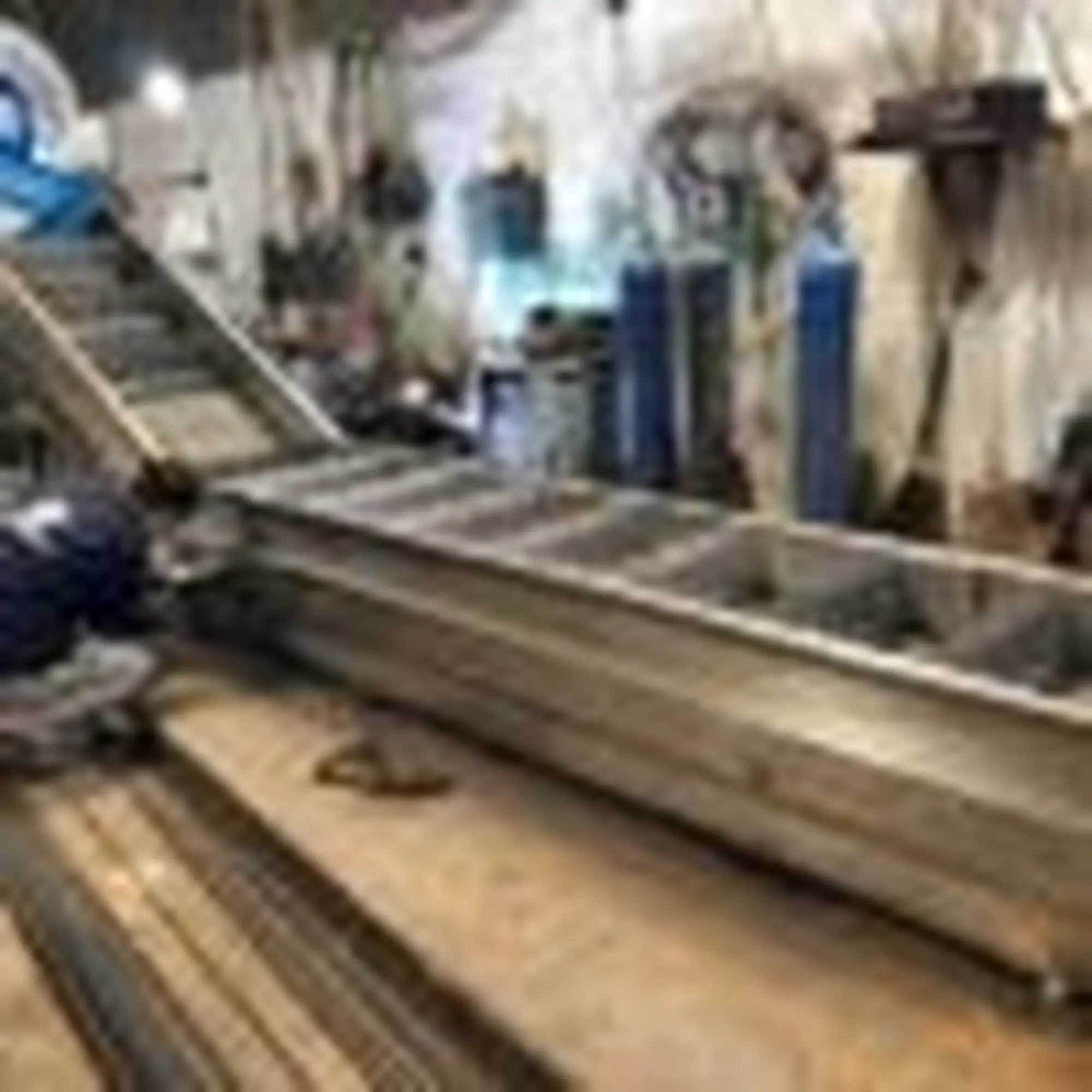 Băng tải lưới gạt liệu inox ngâm và rửa