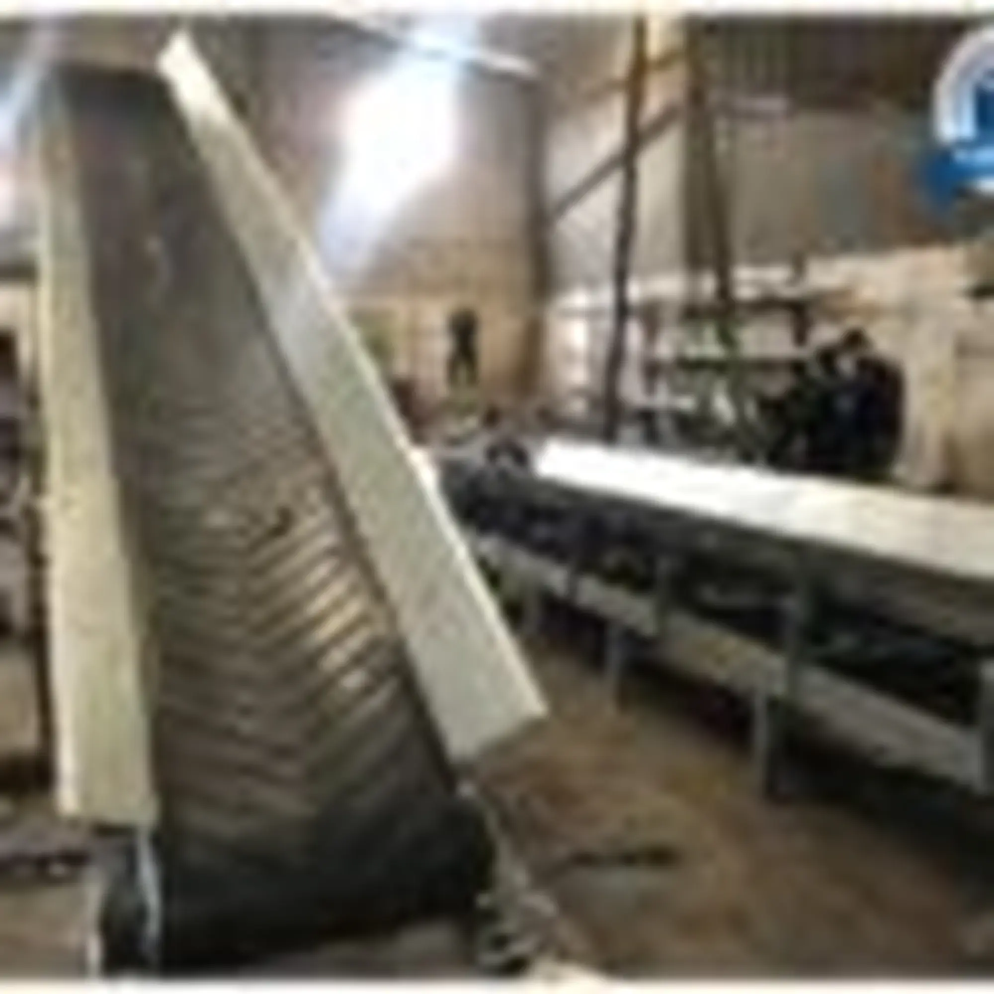 bang tai cao su nhung kem