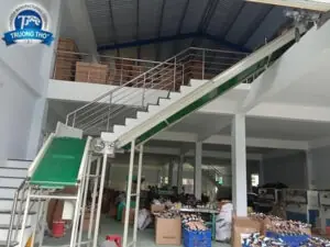 băng tải pvc nghiêng tải thùng carton - ảnh 3