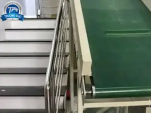 Băng tải PVC nghiêng tải thùng carton - Ảnh 3
