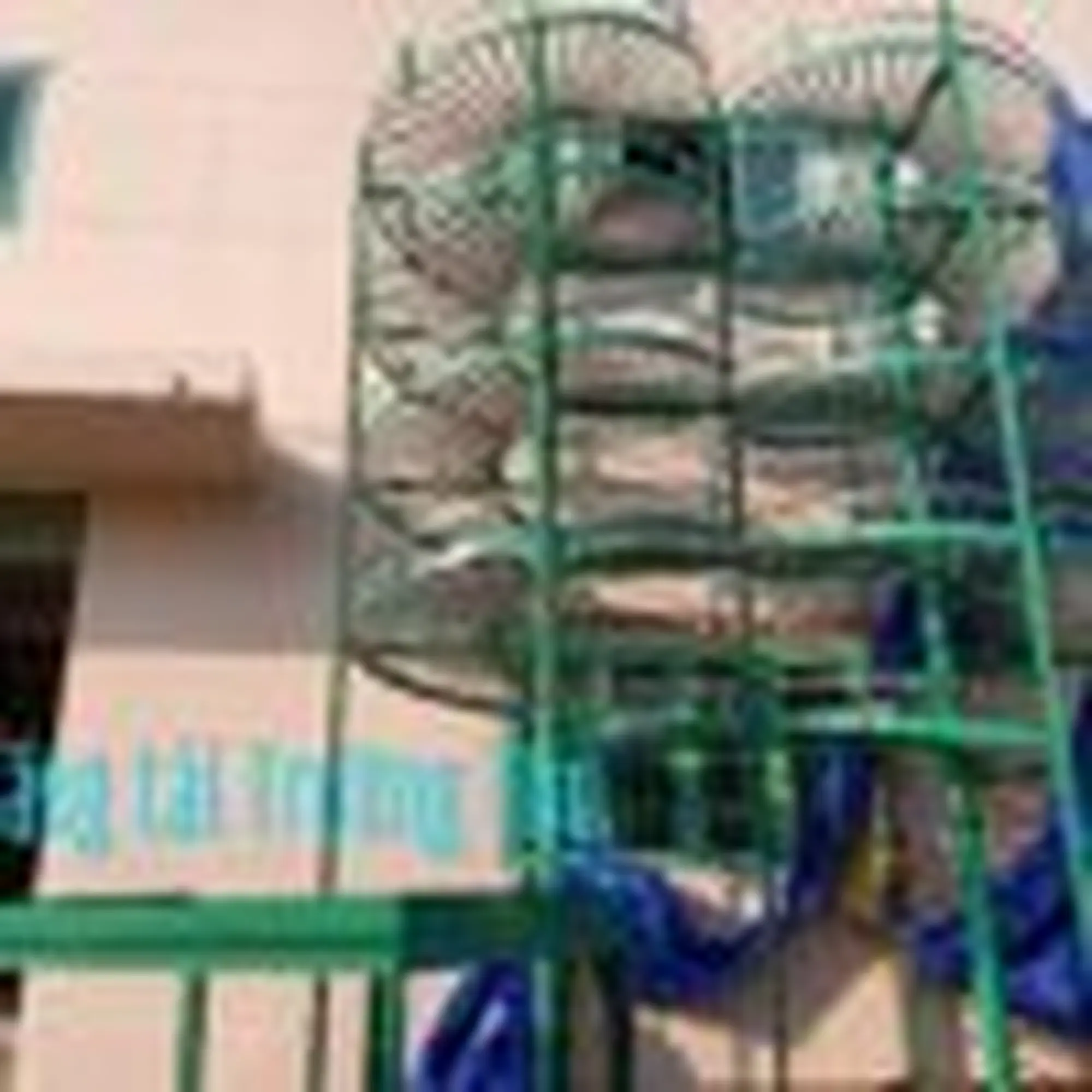 băng tải con lăn xoắn