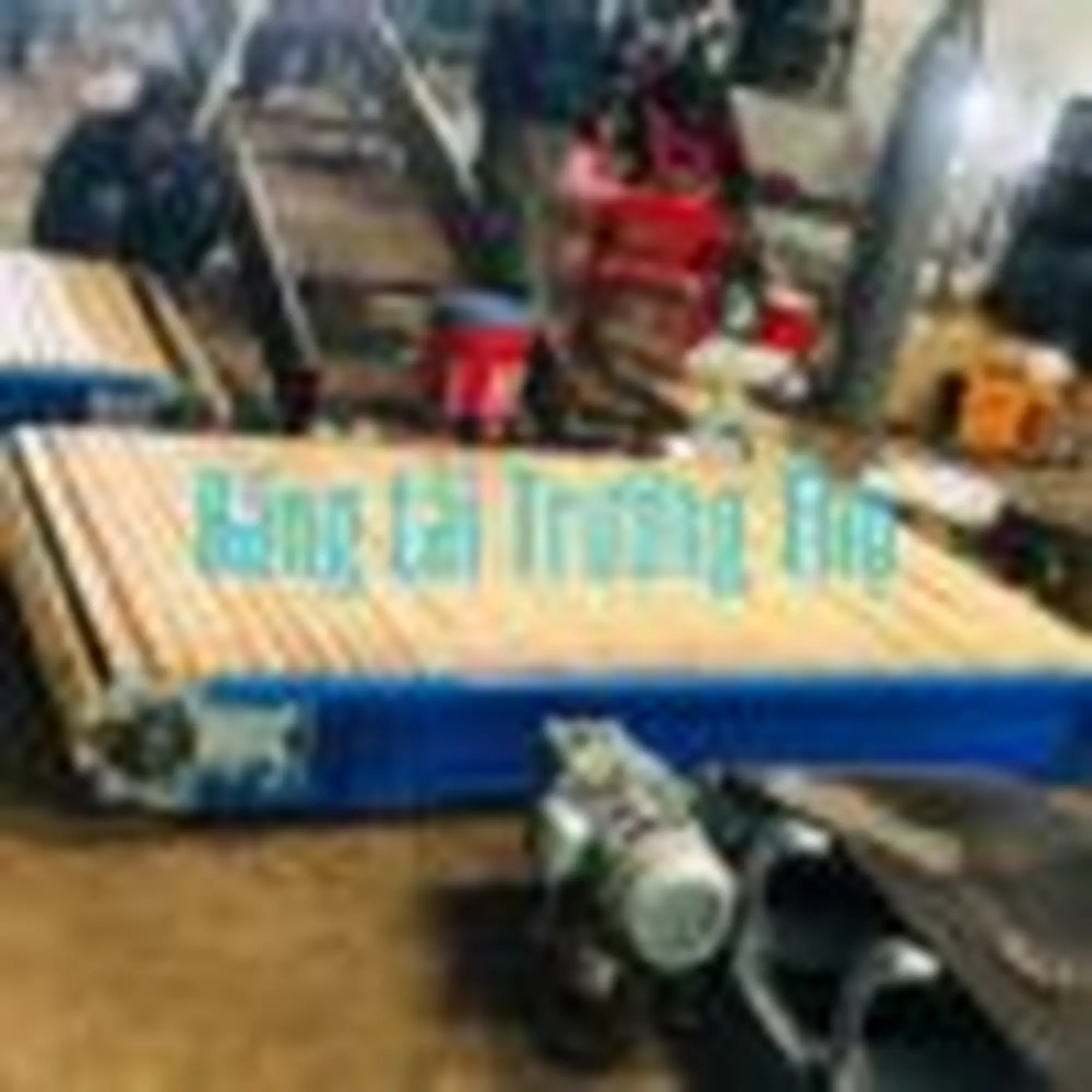 băng tải xích gỗ