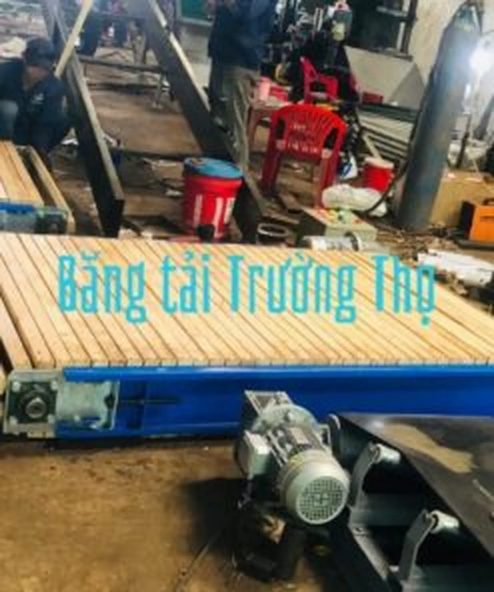 băng tải xích gỗ
