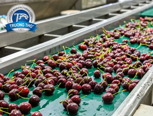 ứng dụng băng tải PVC