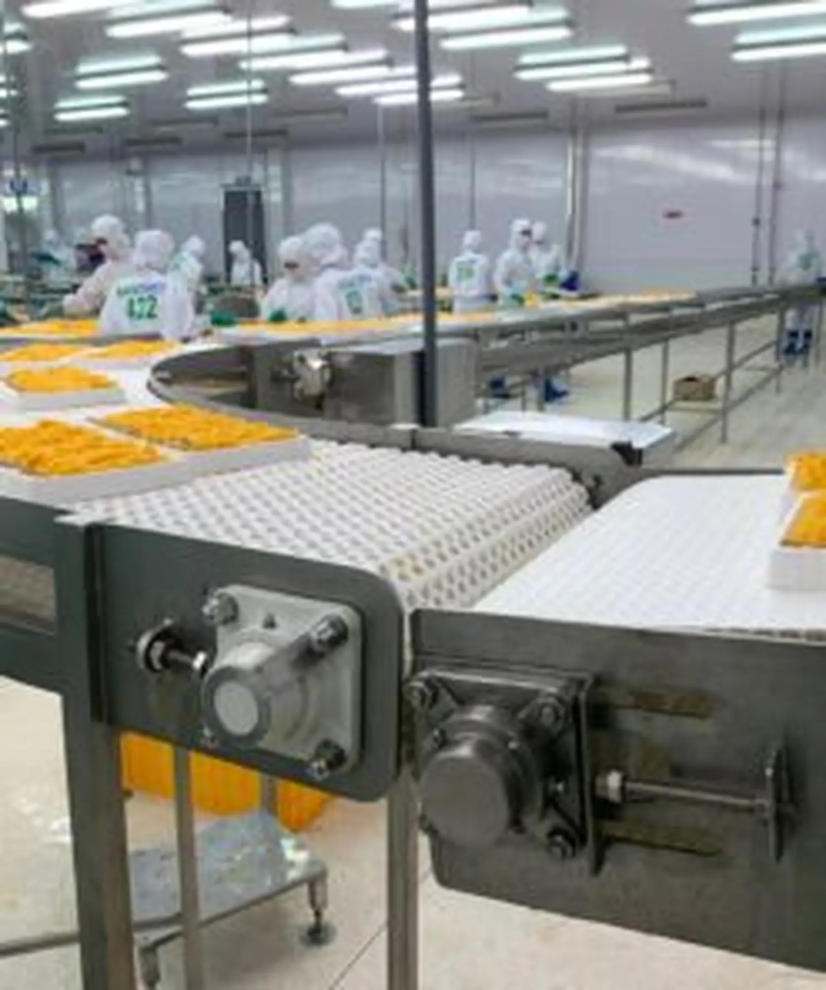 Băng tải xích nhựa thực phẩm - Đáp ứng an toàn vệ sinh