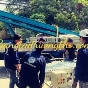 Băng tải cao su nâng hạ lên xe container