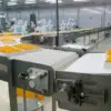 băng tải xích nhựa thực phẩm