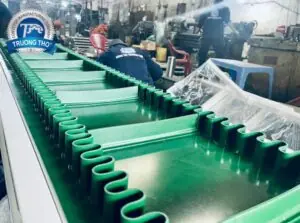 băng chuyền PVC tai bèo